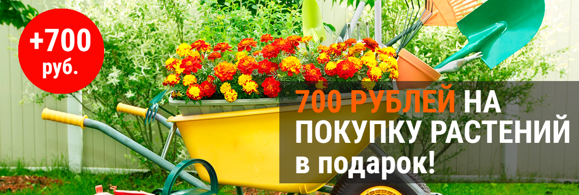 700 рублей в подарок